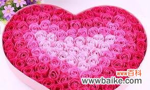 揭秘鹭草花语 鹭草花语与传说