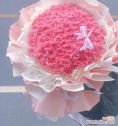 粉色康乃馨 粉色康乃馨的代表寓意——爱与关怀