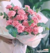 粉色康乃馨 粉色康乃馨的代表寓意——爱与关怀