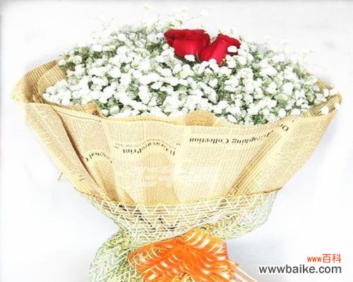 用满天星花语诠释青春 满天星花语致青春,点亮心中的希望