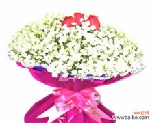 用满天星花语诠释青春 满天星花语致青春，点亮心中的希望