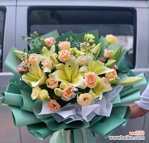 春天的黄金花海 黄天霸百合花语之美