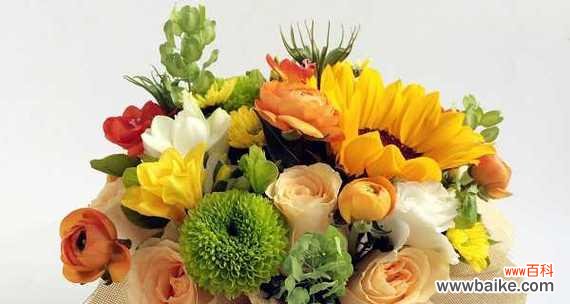 男友送花有讲究 送男朋友什么花最好