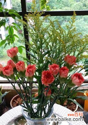 用花言巧语传递温暖与祝福 鲜花寄语生日快乐