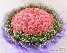 探索粉色玫瑰花所代表的意义与情感 粉色玫瑰花的浪漫寓意