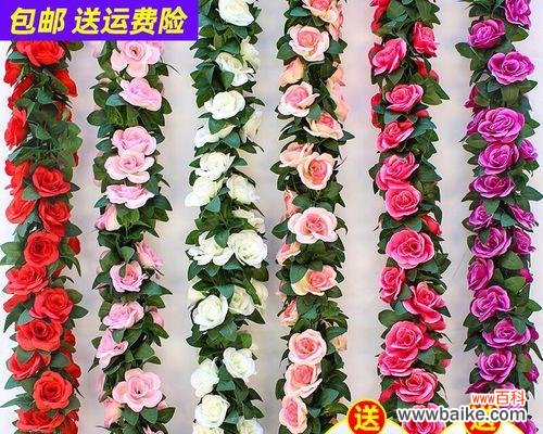 玫瑰花代表什么意思？不同颜色和数量的玫瑰花语有哪些？