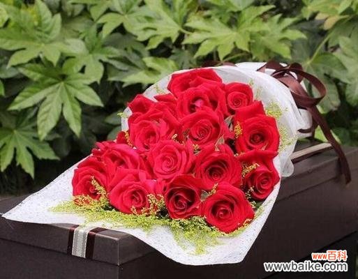 绽放爱与美的十一朵粉玫瑰 十一朵粉玫瑰的象征意义及传承