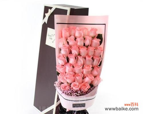 绽放爱与美的十一朵粉玫瑰 十一朵粉玫瑰的象征意义及传承