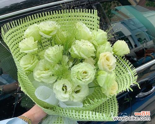 探究绿色洋桔梗的花语以及它所传达的情感和寓意 绿色洋桔梗的花语和意义