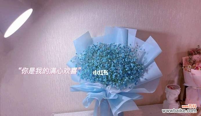 蓝色满天星的花语及其意义 蓝色满天星花语