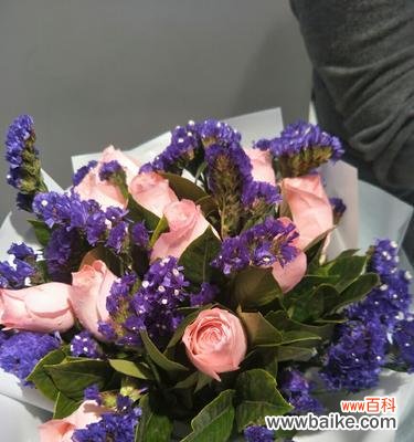 探寻粉佳玫瑰的深层含义 粉佳玫瑰代表的意义及象征