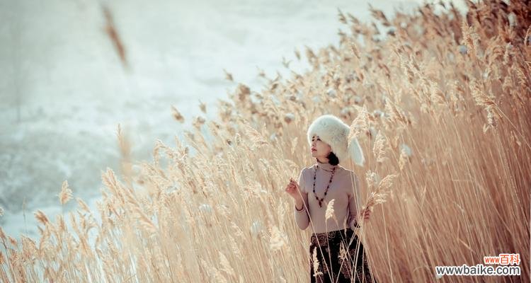 展现坚韧与自由的自然之美 芦苇的花语——守望与希望