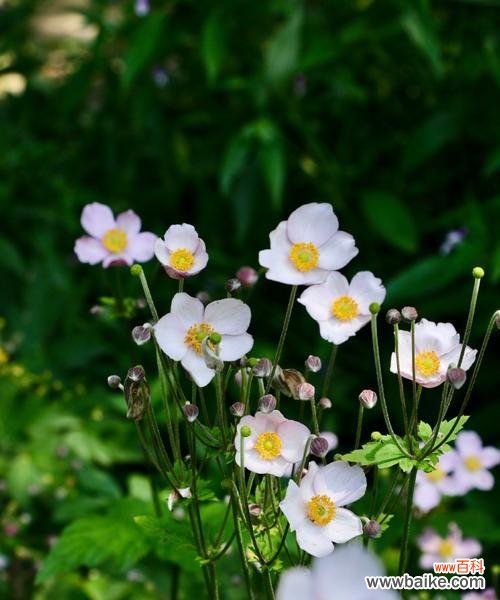 探寻自然之美 美好生机