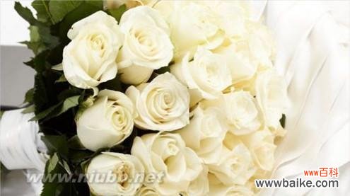 用花语述说爱的深情 42朵玫瑰花花语的浪漫寓意