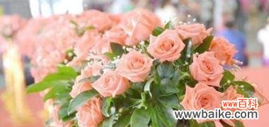 什么花代表爱情?最浪漫的花卉象征是什么?