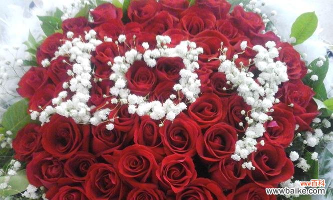 解读玫瑰花的意义和象征 不同颜色的玫瑰花代表意思