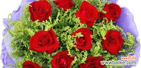 探寻玫瑰花朵数的内涵与传达的情感 玫瑰花朵数的象征意义