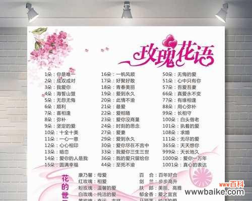 探秘玫瑰的花言花语 玫瑰花语与寓意解析