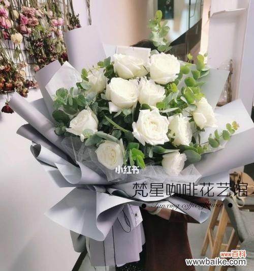 纯洁 白玫瑰的花语与美丽爱情