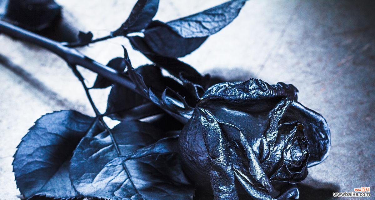 什么花代表痛苦和悲伤？了解花卉语言背后的情感含义？