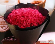 了解玫瑰花的丰富多样性及象征意义 探索玫瑰花的品种和含义