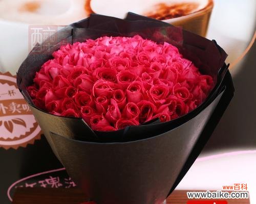 了解玫瑰花的丰富多样性及象征意义 探索玫瑰花的品种和含义