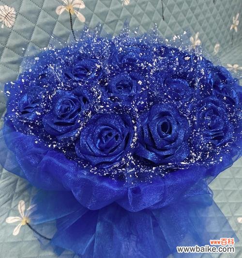 星空中的美丽与希望 蓝色满天星的寓意