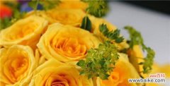 用黄玫瑰传递的幸福和友谊 黄玫瑰的花语与象征意义