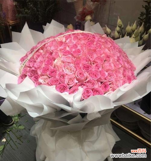 探寻粉玫瑰所代表的爱情与情感 粉玫瑰的花语与寓意