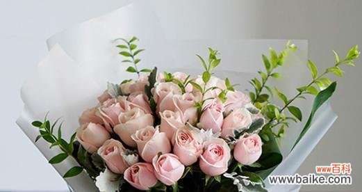 探寻粉玫瑰所代表的爱情与情感 粉玫瑰的花语与寓意