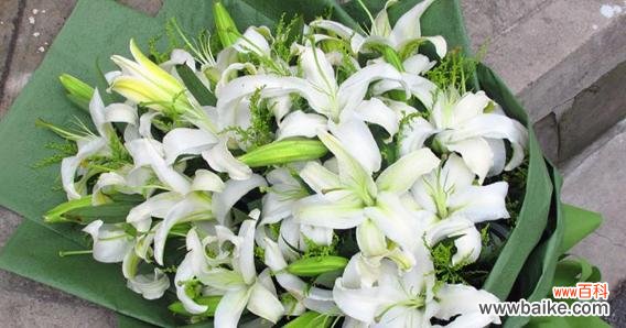 探寻百合花的深层含义与象征 百合花的花语及文化意义