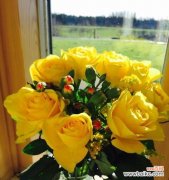 奋斗的花有哪些 花开奋斗，繁华绽放