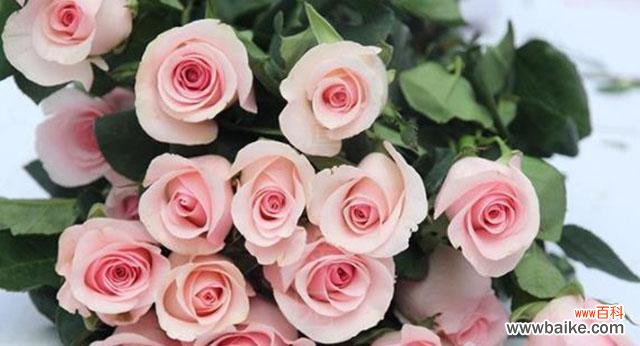 什么花代表爱情？花语中象征爱情的花卉有哪些？