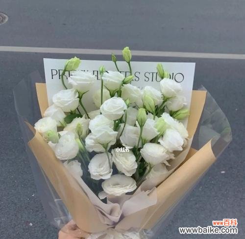 传递清纯与祝福的白色洋桔梗 洋桔梗花语与寓意