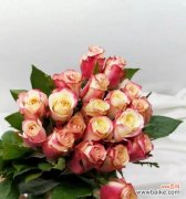 橙玫瑰的花语与涵义解读 橙玫瑰花语