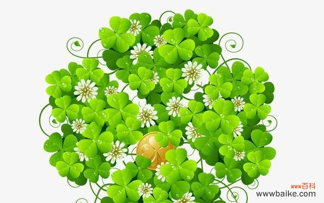 四叶草代表什么 四叶草的象征意义与传说