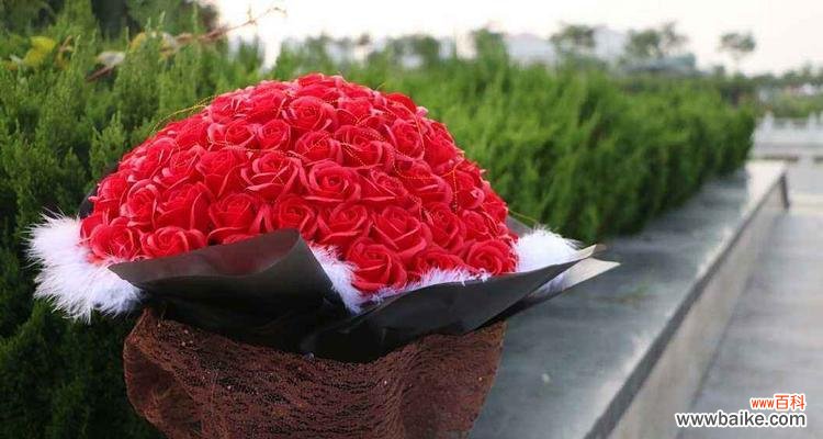 解读花语中的数量暗示与情感寓意 送花几朵代表什么意思