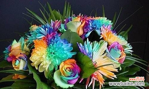 阳光、希望与快乐的象征 以向日葵为主题的花语——快乐之花