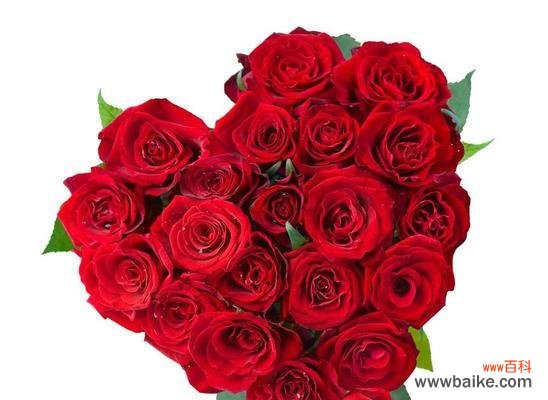 探寻玫瑰花背后的心意 11朵玫瑰花的寓意