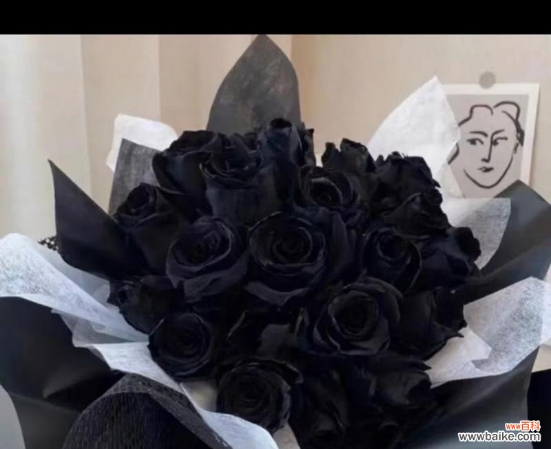 传递神秘与独特的美丽 黑玫瑰的花语与意义