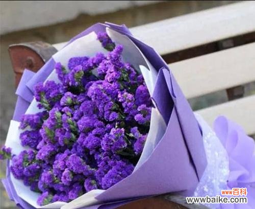 用五彩斑斓的勿忘我 不同颜色勿忘我花语