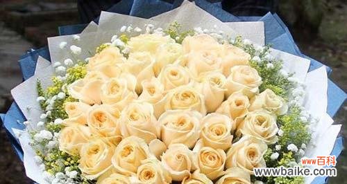 探索香槟玫瑰的情感象征和象征意义 香槟玫瑰的花语与寓意