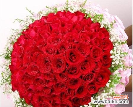 玫瑰花象征爱情、友情与思念 浪漫的意象——19朵玫瑰花的含义