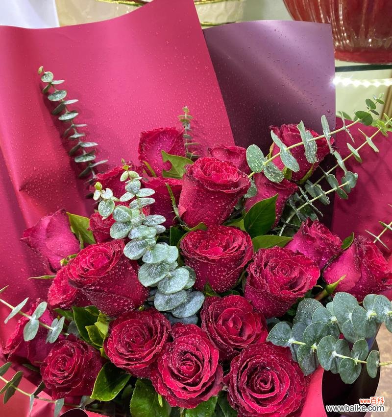 探究玫瑰花数量的特殊含义 19朵玫瑰花的寓意与象征